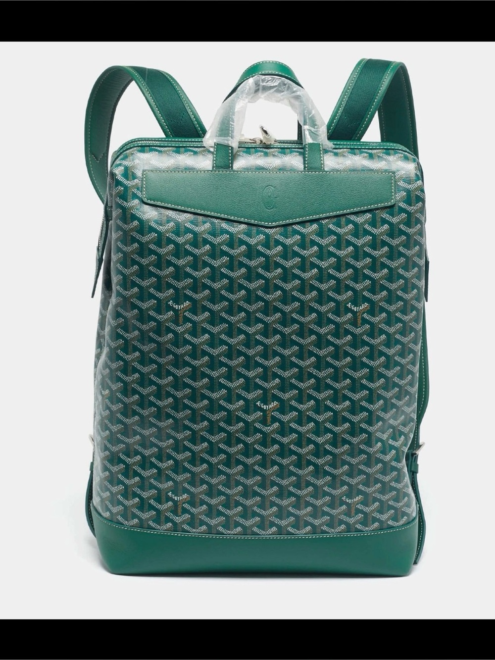 Goyard backpack green